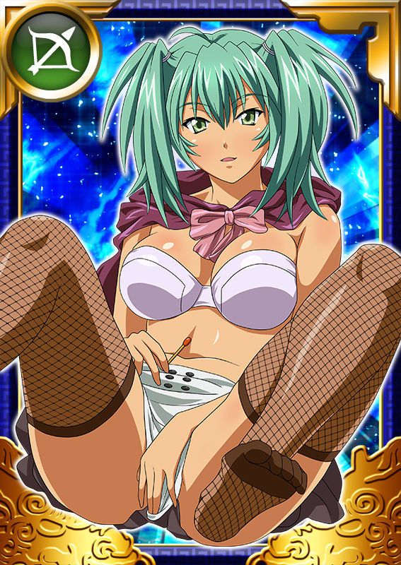 Ikkitousen Cards Coleccyion  Ryofu Housen set 908