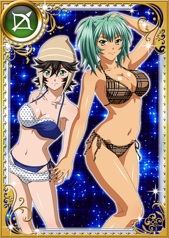 Ikkitousen Cards Coleccyion  Ryofu Housen set 912