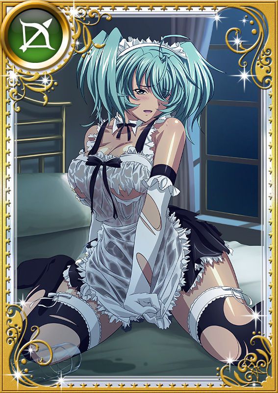 Ikkitousen Cards Coleccyion  Ryofu Housen set 917