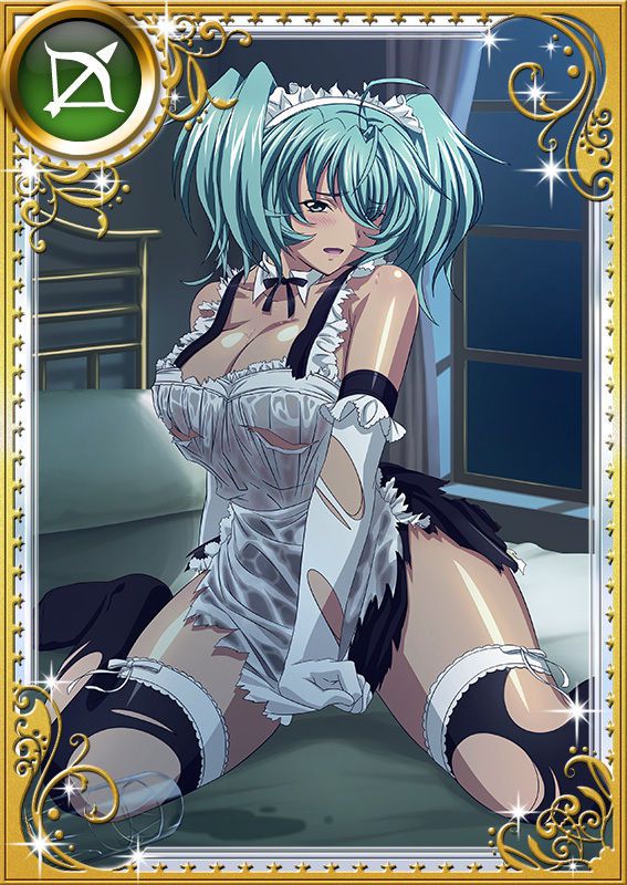 Ikkitousen Cards Coleccyion  Ryofu Housen set 918