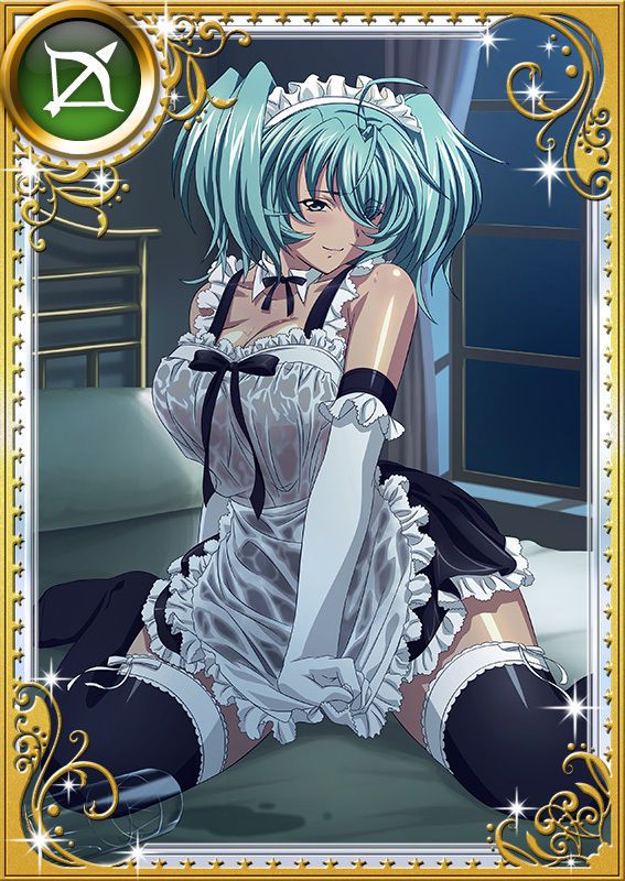 Ikkitousen Cards Coleccyion  Ryofu Housen set 919