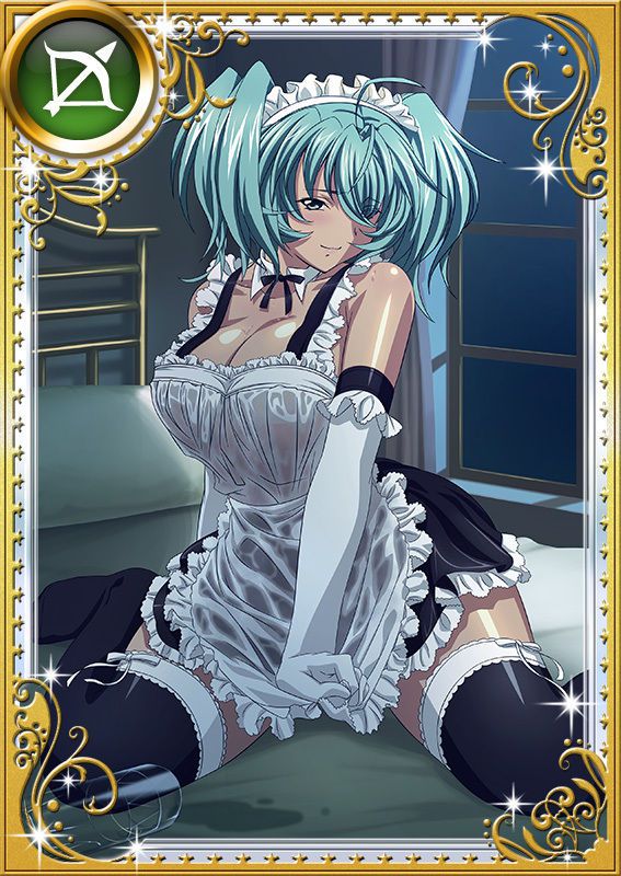 Ikkitousen Cards Coleccyion  Ryofu Housen set 920