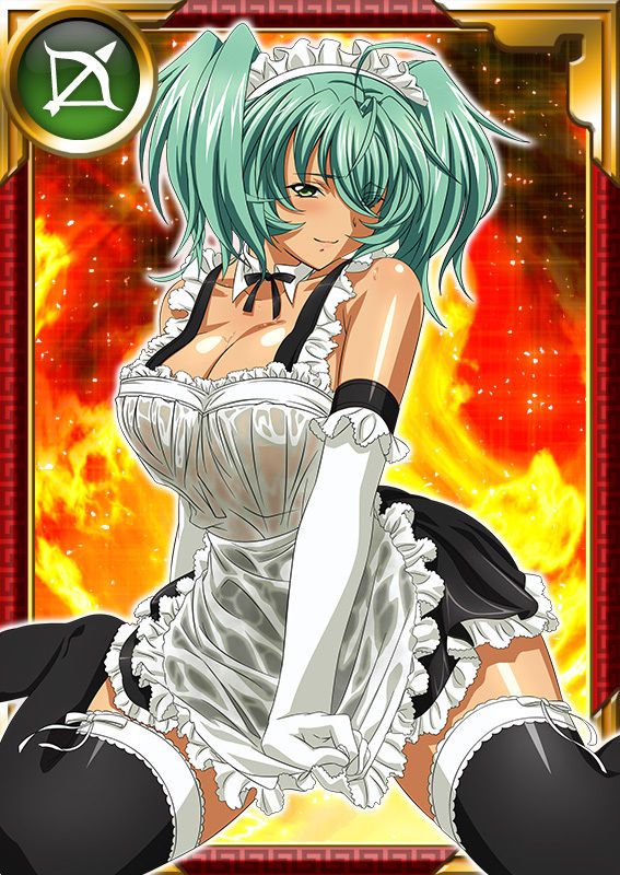 Ikkitousen Cards Coleccyion  Ryofu Housen set 922