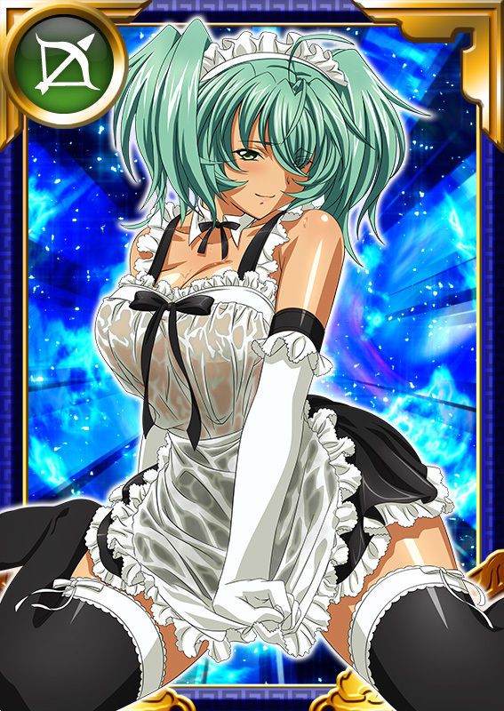 Ikkitousen Cards Coleccyion  Ryofu Housen set 923