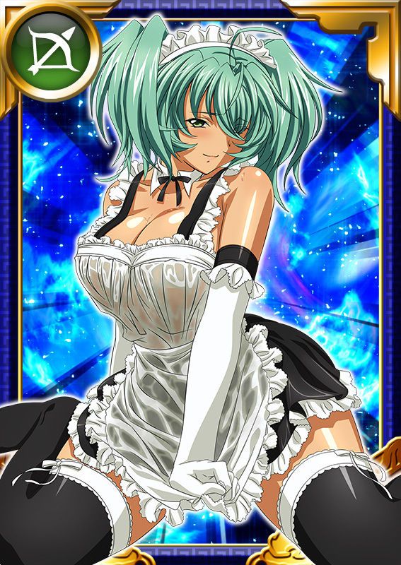 Ikkitousen Cards Coleccyion  Ryofu Housen set 924