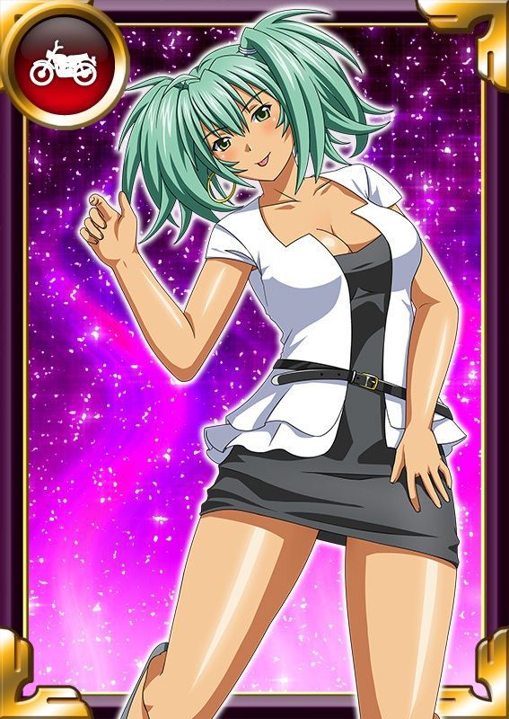 Ikkitousen Cards Coleccyion  Ryofu Housen set 925