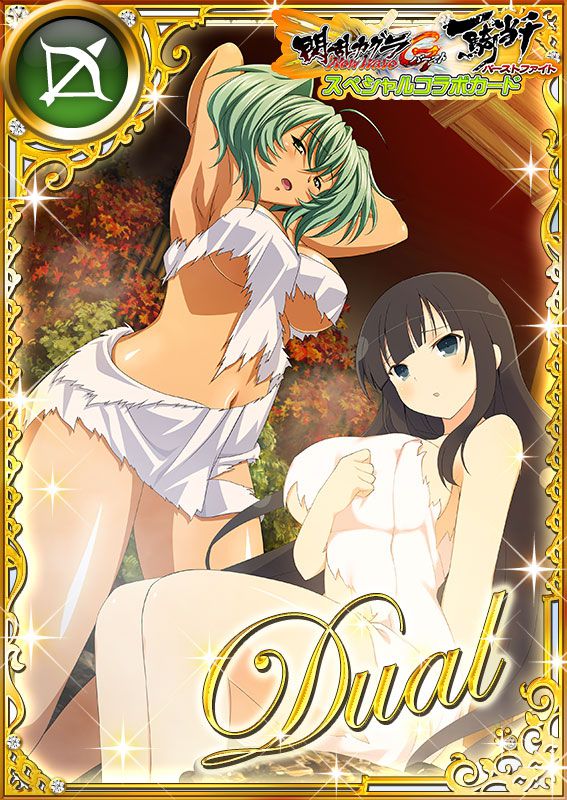 Ikkitousen Cards Coleccyion  Ryofu Housen set 933