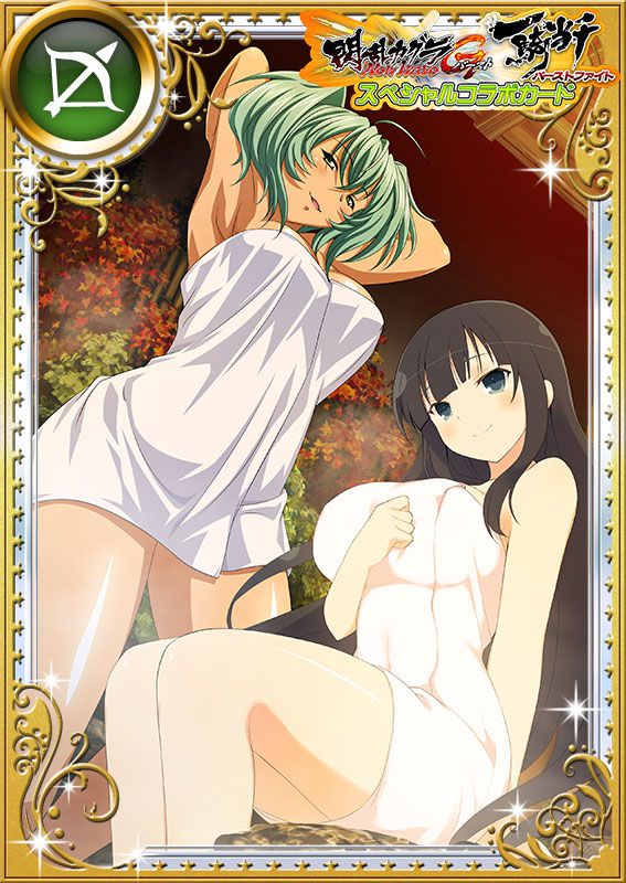 Ikkitousen Cards Coleccyion  Ryofu Housen set 934