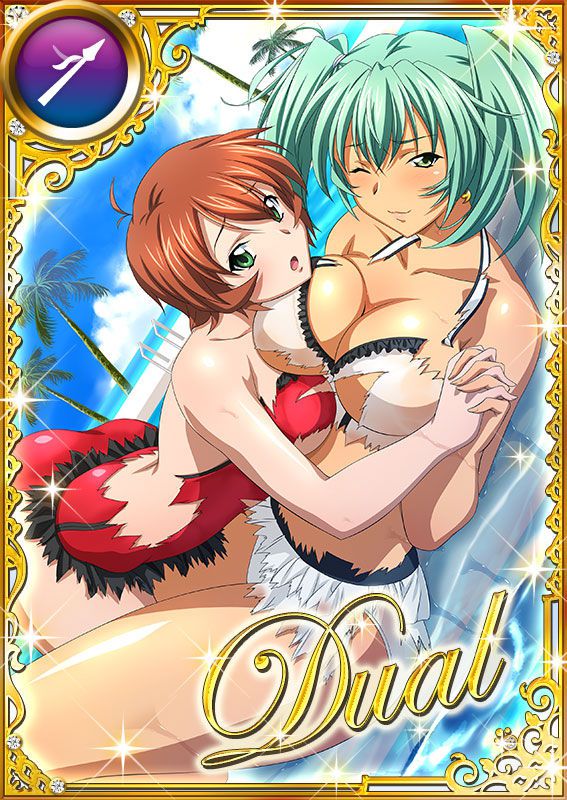 Ikkitousen Cards Coleccyion  Ryofu Housen set 939