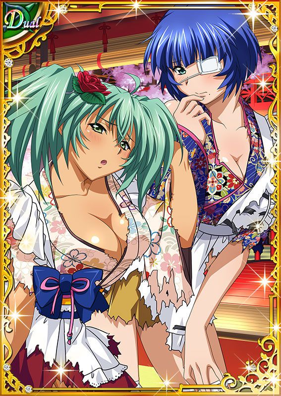 Ikkitousen Cards Coleccyion  Ryofu Housen set 94