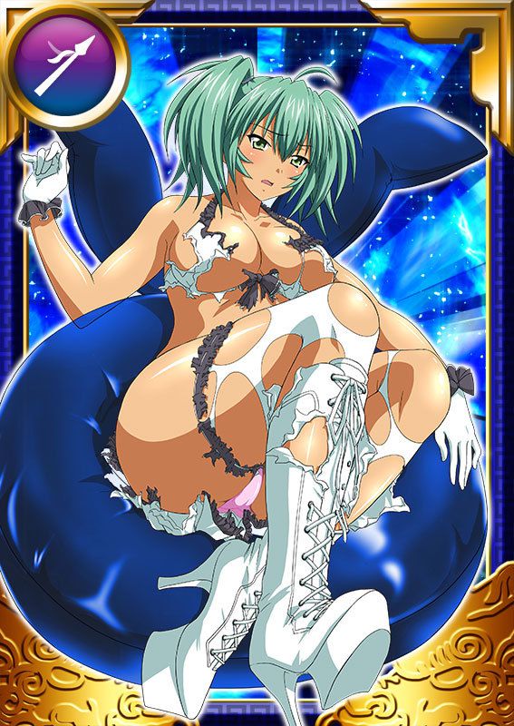 Ikkitousen Cards Coleccyion  Ryofu Housen set 947