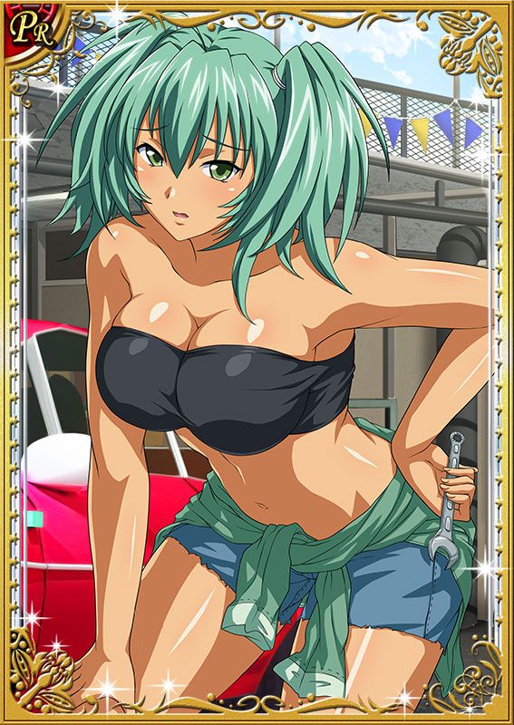 Ikkitousen Cards Coleccyion  Ryofu Housen set 95