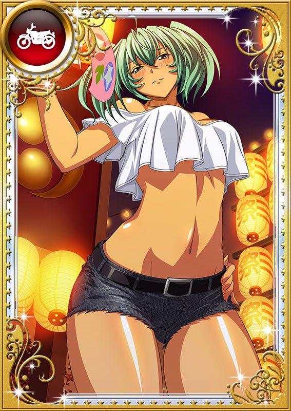 Ikkitousen Cards Coleccyion  Ryofu Housen set 950