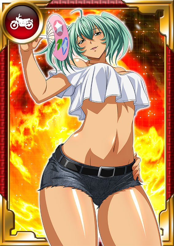 Ikkitousen Cards Coleccyion  Ryofu Housen set 952