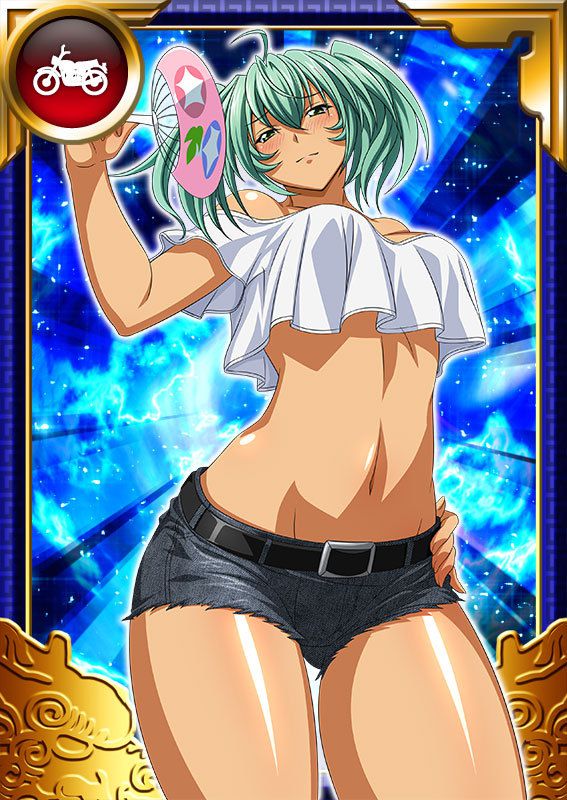 Ikkitousen Cards Coleccyion  Ryofu Housen set 954