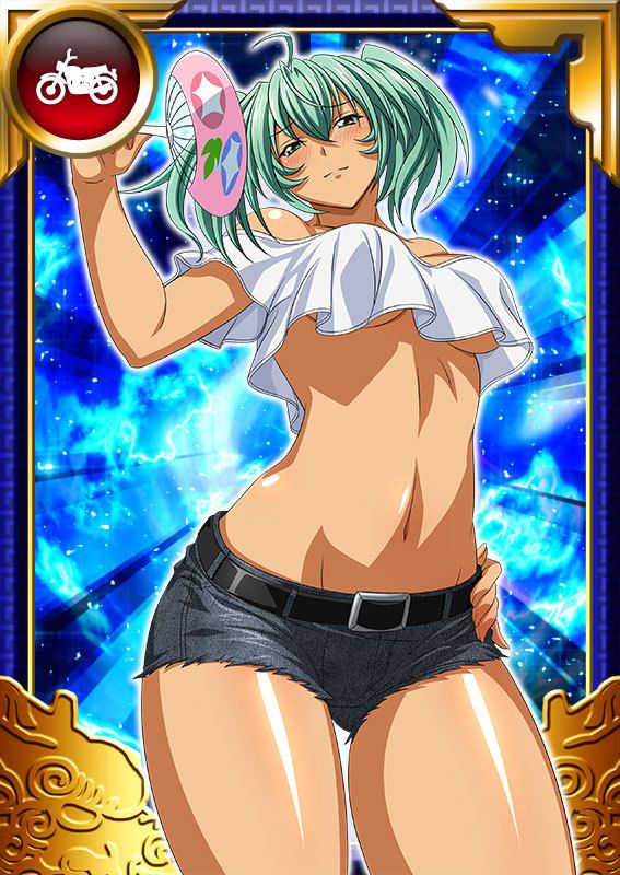 Ikkitousen Cards Coleccyion  Ryofu Housen set 955