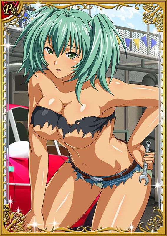 Ikkitousen Cards Coleccyion  Ryofu Housen set 96