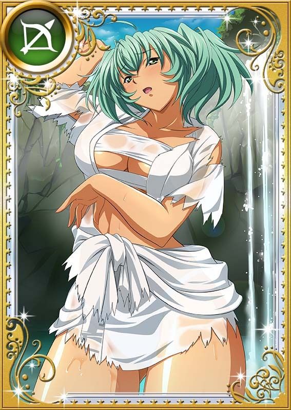 Ikkitousen Cards Coleccyion  Ryofu Housen set 962