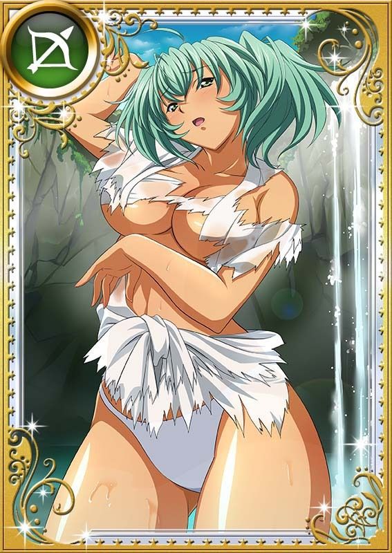 Ikkitousen Cards Coleccyion  Ryofu Housen set 963