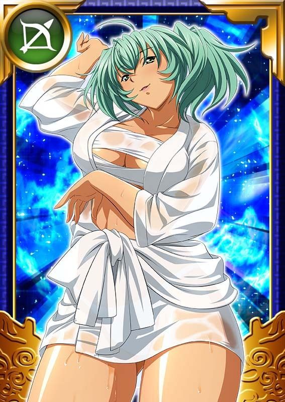 Ikkitousen Cards Coleccyion  Ryofu Housen set 964