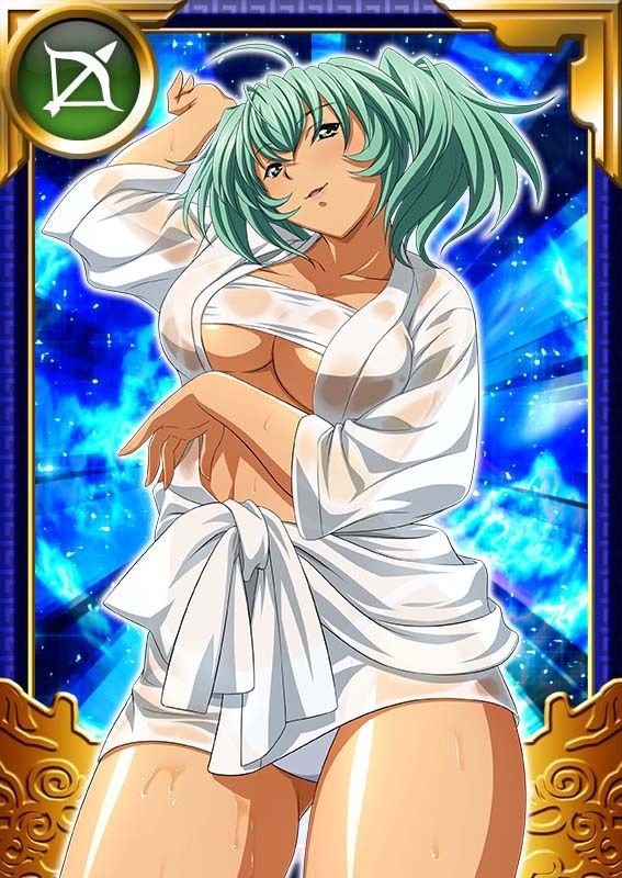 Ikkitousen Cards Coleccyion  Ryofu Housen set 965