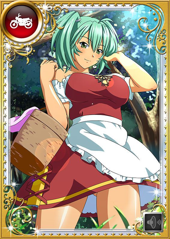 Ikkitousen Cards Coleccyion  Ryofu Housen set 967