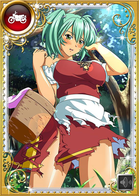 Ikkitousen Cards Coleccyion  Ryofu Housen set 968