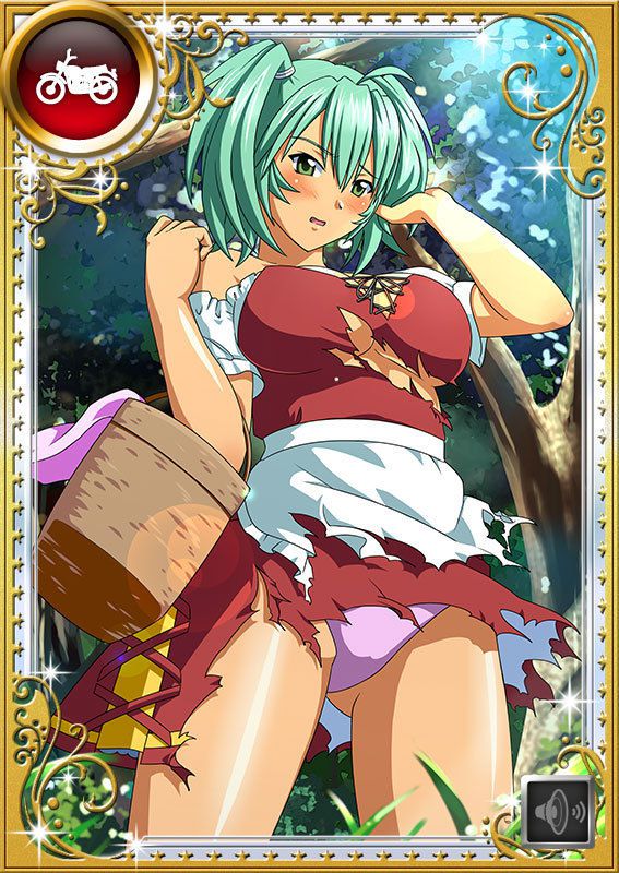 Ikkitousen Cards Coleccyion  Ryofu Housen set 969