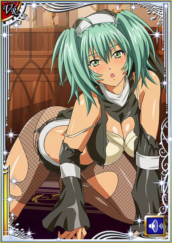 Ikkitousen Cards Coleccyion  Ryofu Housen set 970