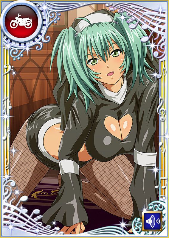 Ikkitousen Cards Coleccyion  Ryofu Housen set 971