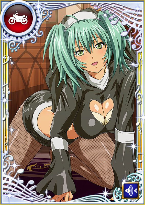 Ikkitousen Cards Coleccyion  Ryofu Housen set 972