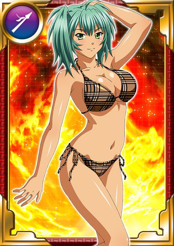 Ikkitousen Cards Coleccyion  Ryofu Housen set 973