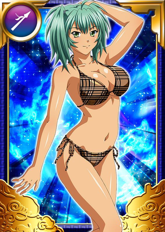 Ikkitousen Cards Coleccyion  Ryofu Housen set 974