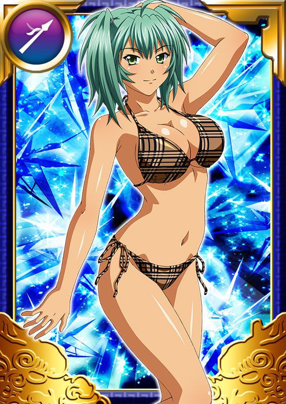 Ikkitousen Cards Coleccyion  Ryofu Housen set 975