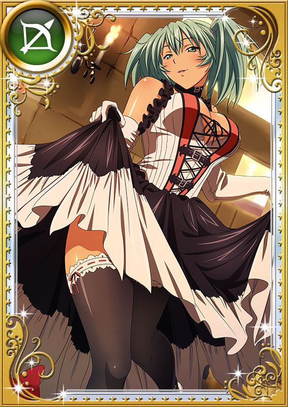 Ikkitousen Cards Coleccyion  Ryofu Housen set 976