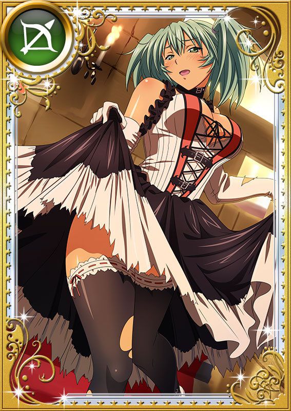 Ikkitousen Cards Coleccyion  Ryofu Housen set 977