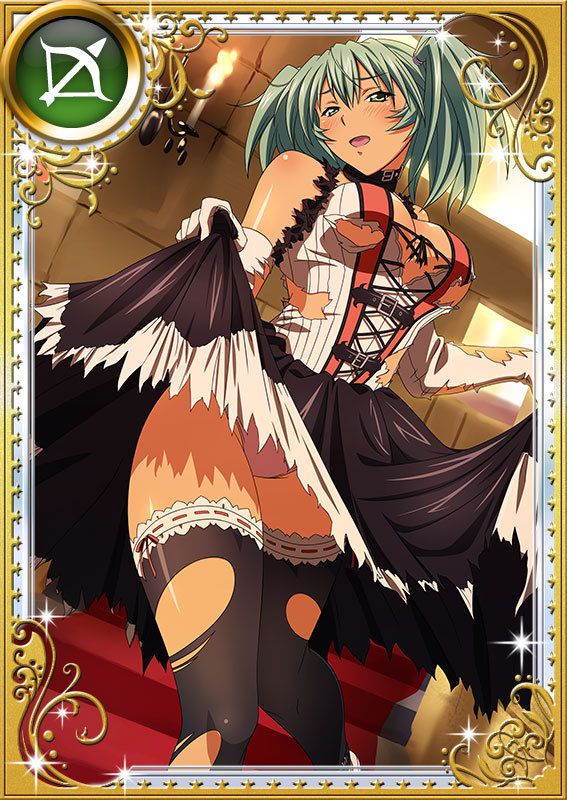 Ikkitousen Cards Coleccyion  Ryofu Housen set 978