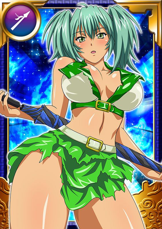 Ikkitousen Cards Coleccyion  Ryofu Housen set 985