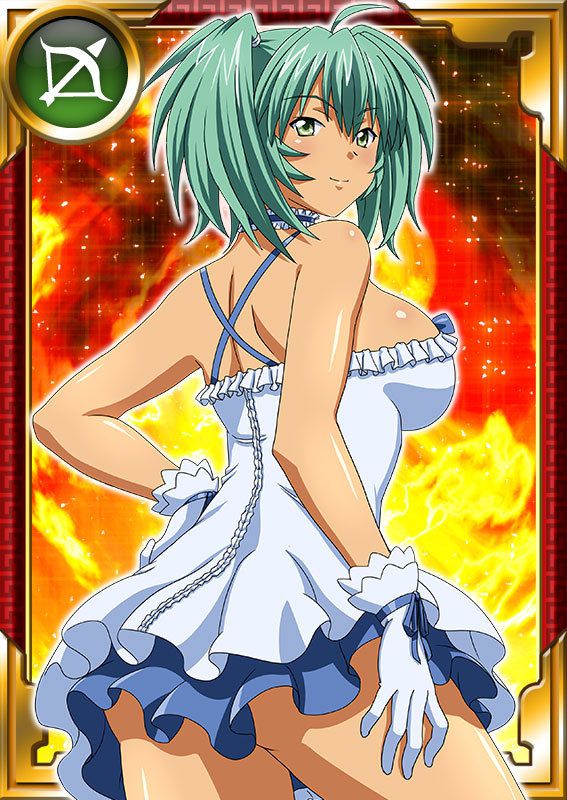 Ikkitousen Cards Coleccyion  Ryofu Housen set 987