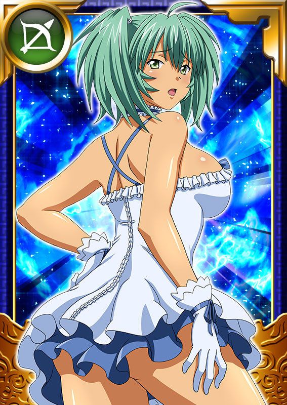 Ikkitousen Cards Coleccyion  Ryofu Housen set 988