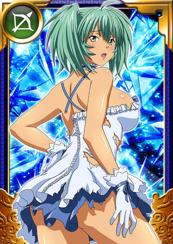 Ikkitousen Cards Coleccyion  Ryofu Housen set 989