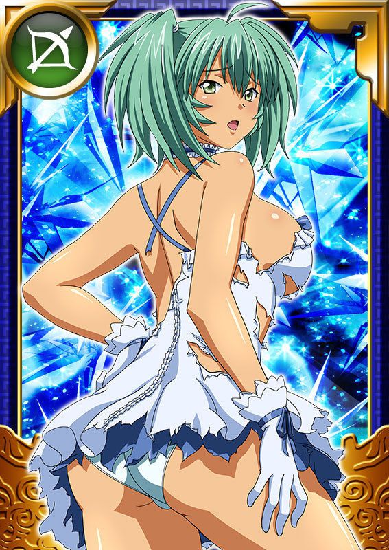 Ikkitousen Cards Coleccyion  Ryofu Housen set 990