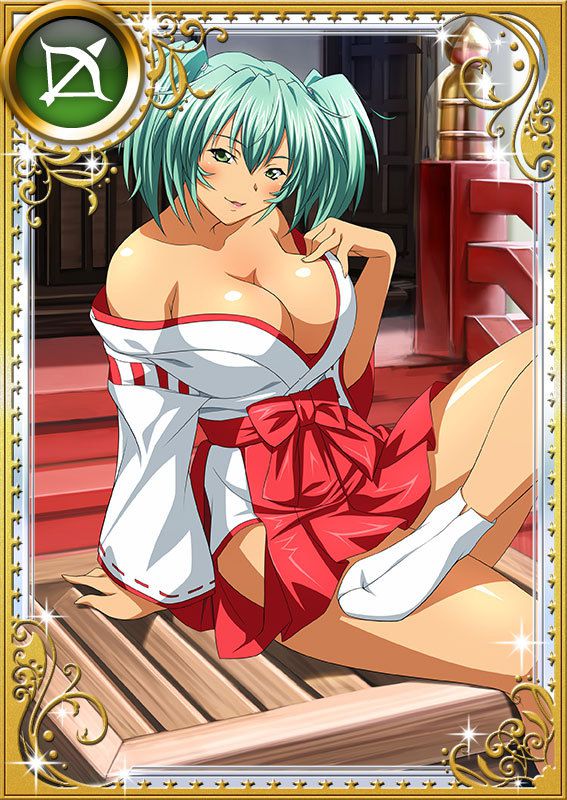 Ikkitousen Cards Coleccyion  Ryofu Housen set 991