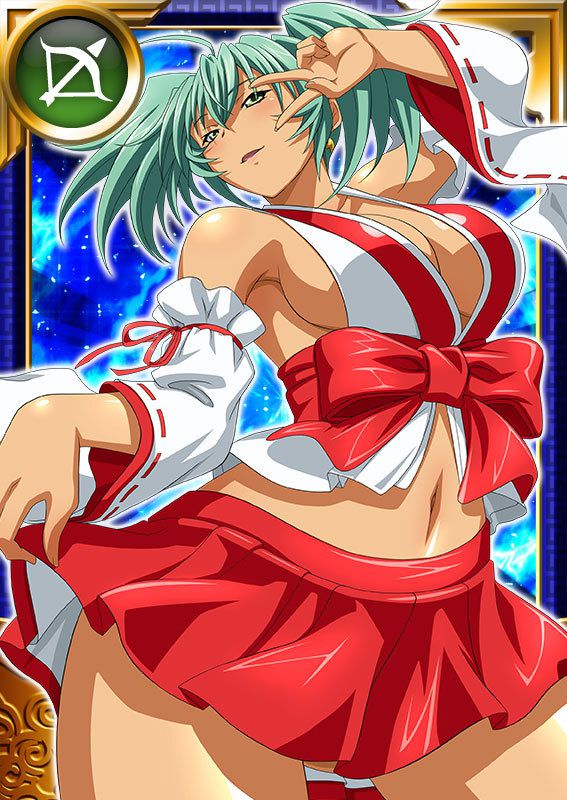 Ikkitousen Cards Coleccyion  Ryofu Housen set 992