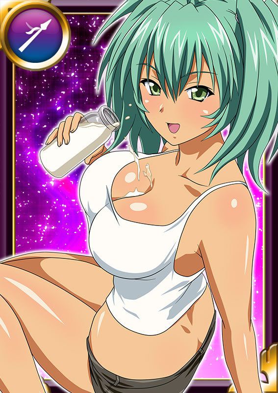 Ikkitousen Cards Coleccyion  Ryofu Housen set 993