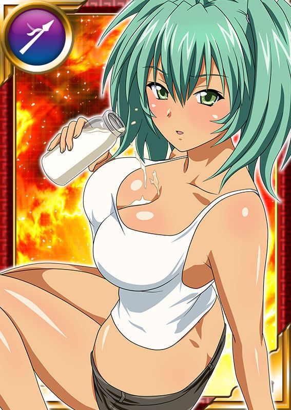 Ikkitousen Cards Coleccyion  Ryofu Housen set 994