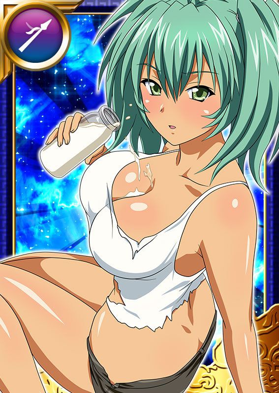 Ikkitousen Cards Coleccyion  Ryofu Housen set 995