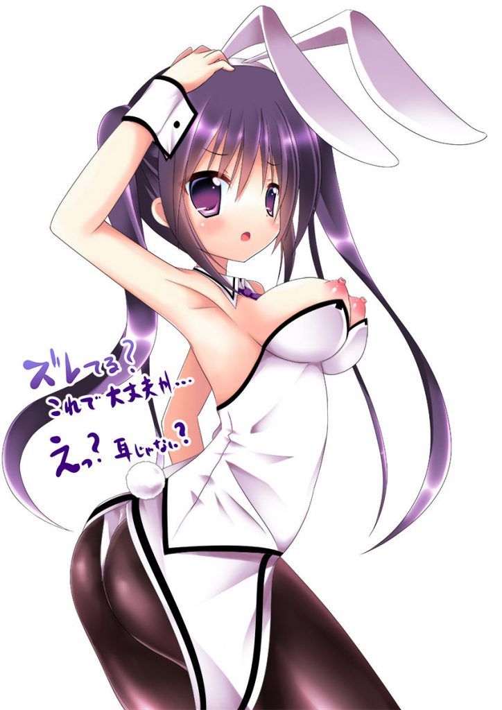 Are you a rabbit? Erotic &amp; Moe Image Summary 4