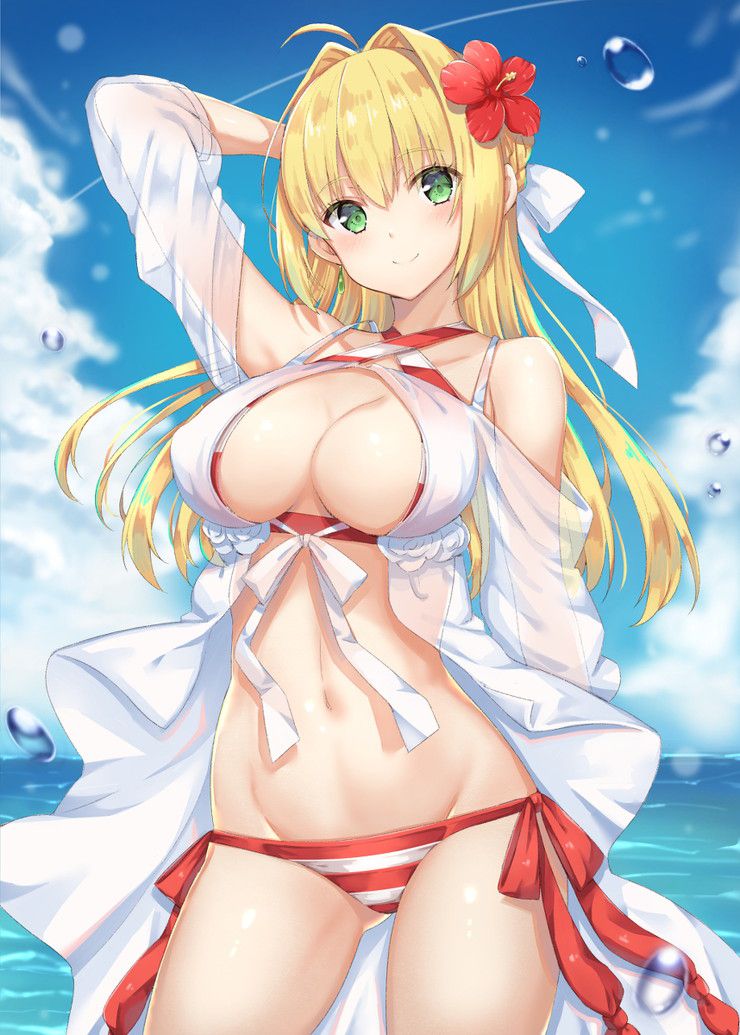 [100 sheets] 2019 summer is also over, so the second image of the sea and swimsuit beautiful girl is a secondary image-paying sle 25