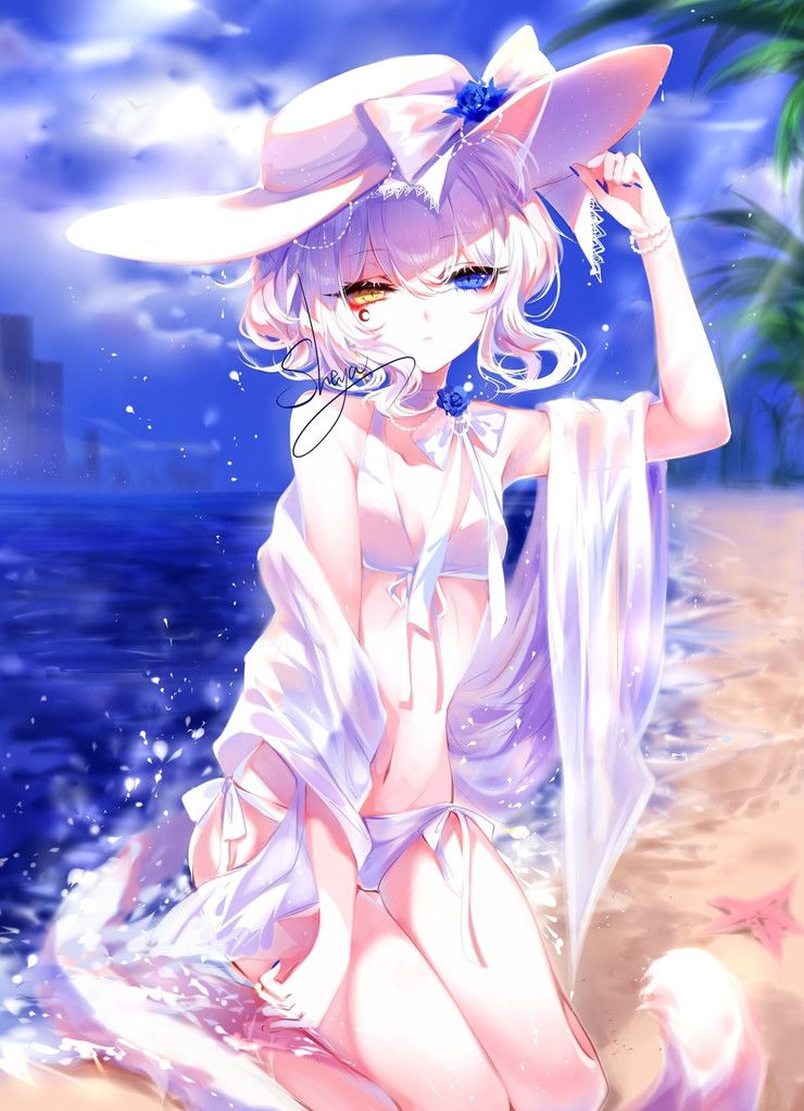 [100 sheets] 2019 summer is also over, so the second image of the sea and swimsuit beautiful girl is a secondary image-paying sle 60